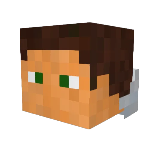 ostinato9 Minecraft avatar head, 3D render