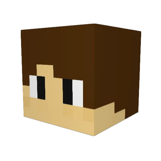 ostracizedbagel Minecraft avatar head, 3D render
