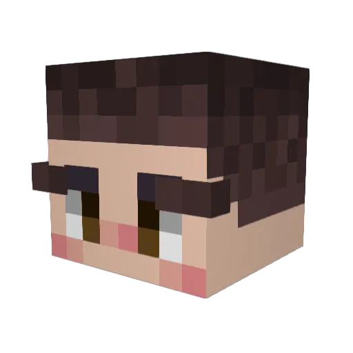 ostuni99 Minecraft avatar head, 3D render