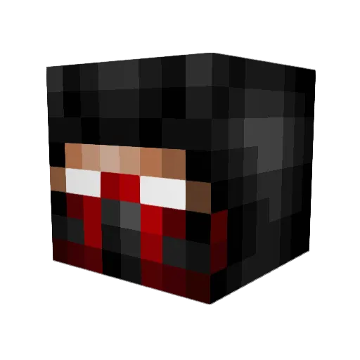 ot20 Minecraft avatar head, 3D render