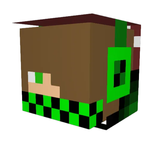 ot8 Minecraft avatar head, 3D render