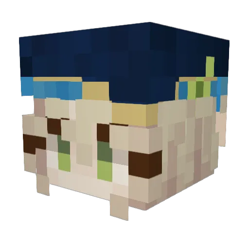 otaaaan Minecraft avatar head, 3D render