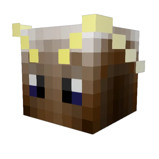 otaks906 Minecraft avatar head, 3D render