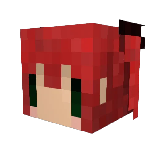 otama_ Minecraft avatar head, 3D render