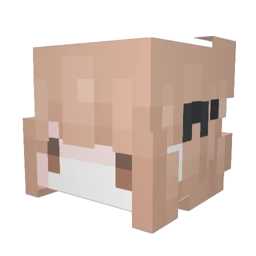 otdushi Minecraft avatar head, 3D render
