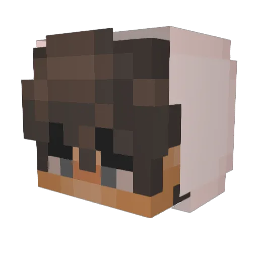 otendomis Minecraft avatar head, 3D render