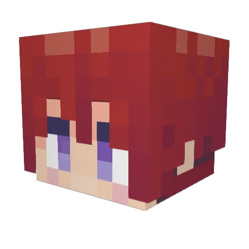 otooooon Minecraft avatar head, 3D render