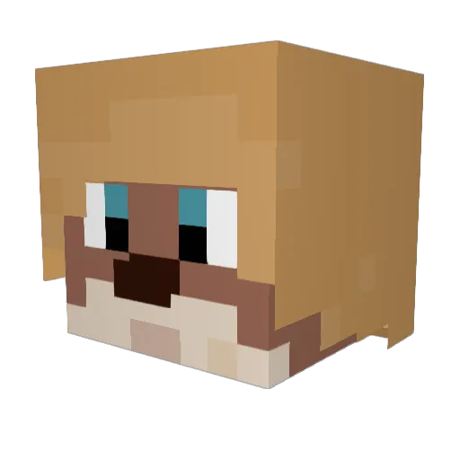 ott_erik Minecraft avatar head, 3D render