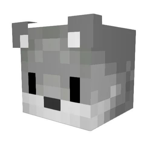 otter445 Minecraft avatar head, 3D render