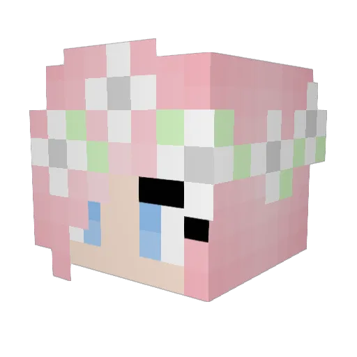 otter_44 Minecraft avatar head, 3D render