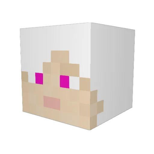 otter_fun Minecraft avatar head, 3D render