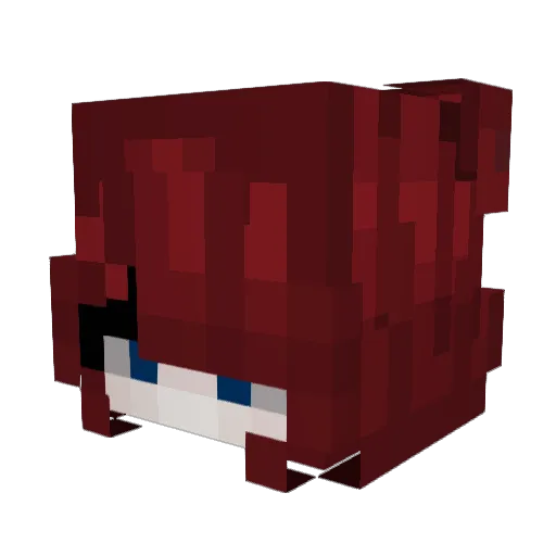 otterbaerchen Minecraft avatar head, 3D render