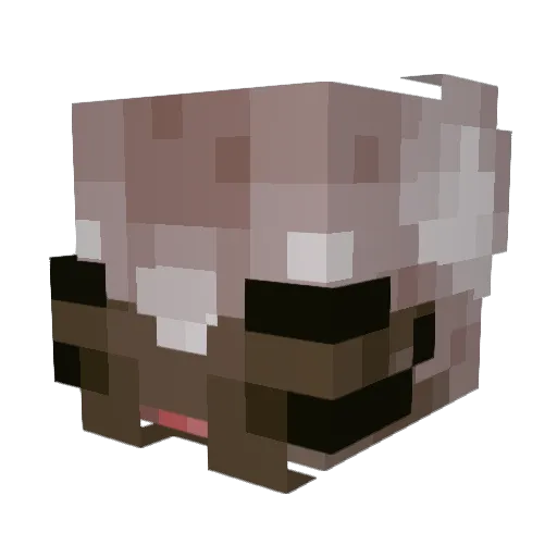 ottername Minecraft avatar head, 3D render