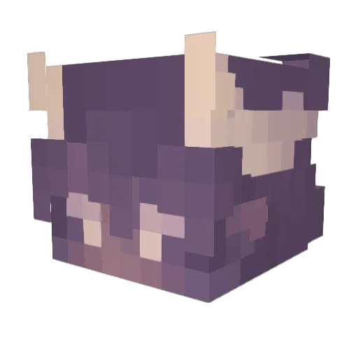 ottum1997 Minecraft avatar head, 3D render