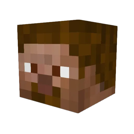 otylosc Minecraft avatar head, 3D render