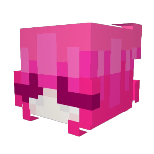 oubliwan Minecraft avatar head, 3D render