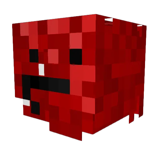 oudphase Minecraft avatar head, 3D render