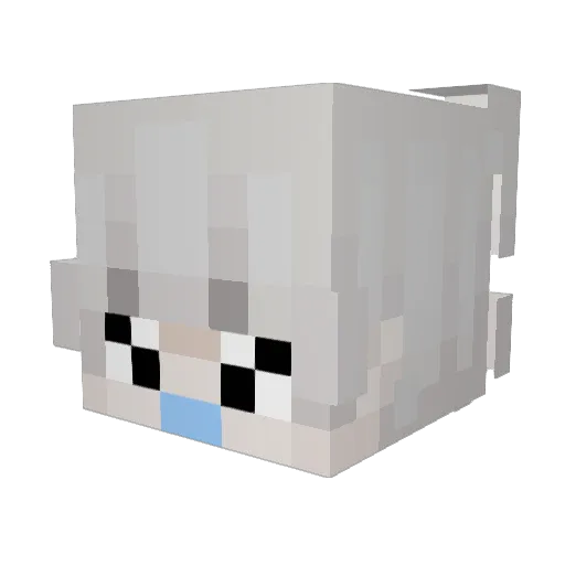 oujia_ Minecraft avatar head, 3D render