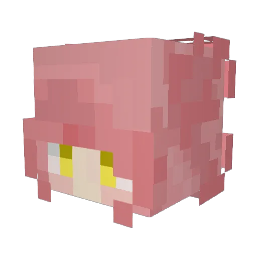 oukan5673 Minecraft avatar head, 3D render