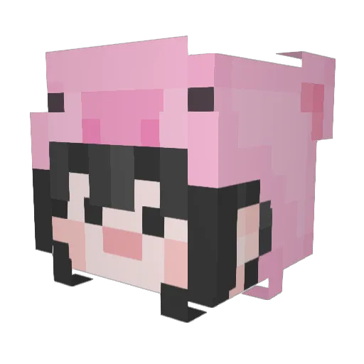 ouo02 Minecraft avatar head, 3D render
