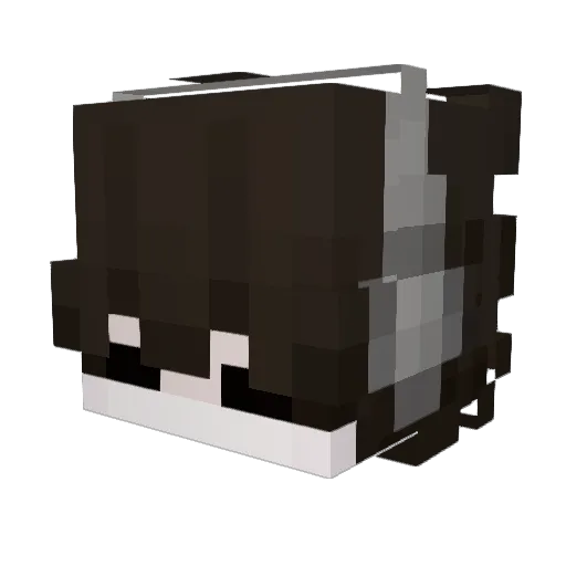 outfast Minecraft avatar head, 3D render