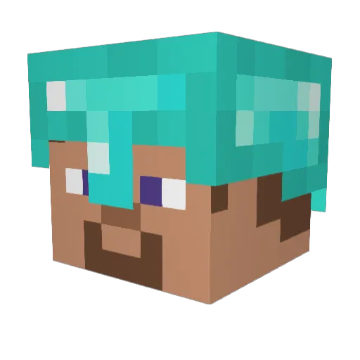 outflies Minecraft avatar head, 3D render