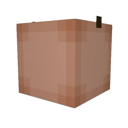 outoforder75 Minecraft avatar head, 3D render