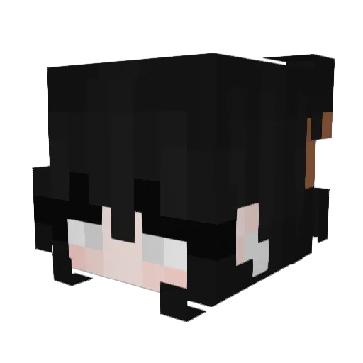 outpricing Minecraft avatar head, 3D render