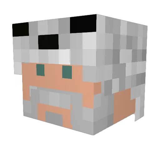 outsidde Minecraft avatar head, 3D render