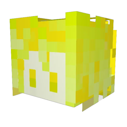 outside1110 Minecraft avatar head, 3D render