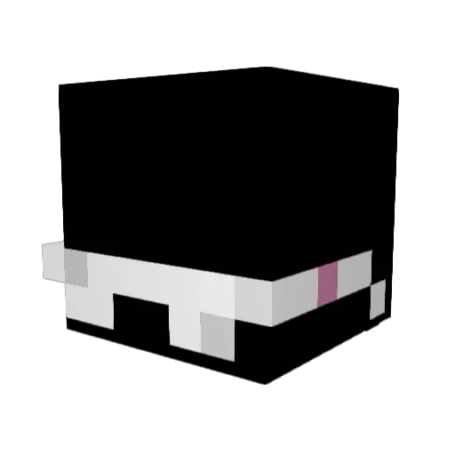 overlytight Minecraft avatar head, 3D render