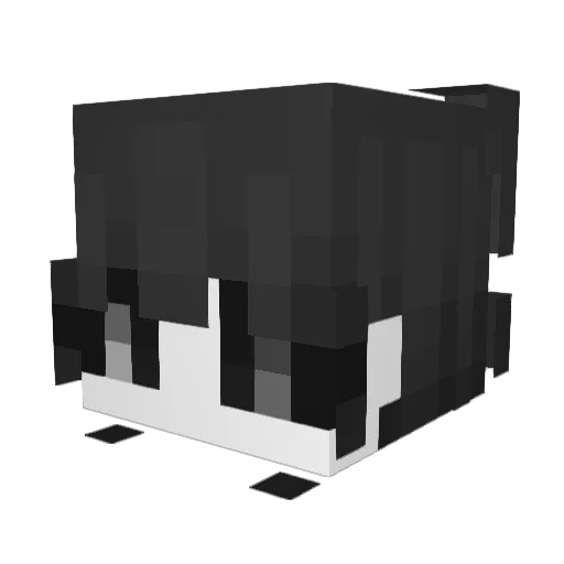 overmodify Minecraft avatar head, 3D render
