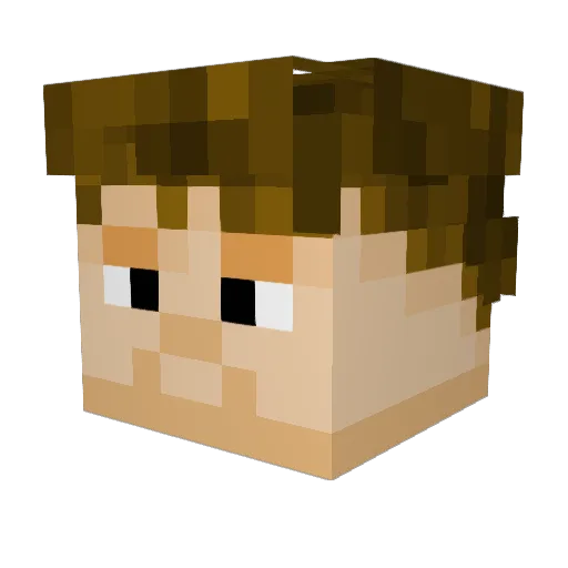 overnight_14 Minecraft avatar head, 3D render