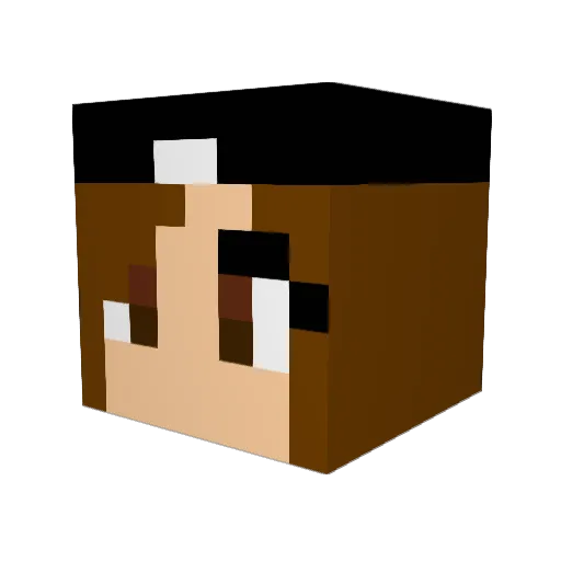 overnono Minecraft avatar head, 3D render
