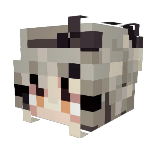 overnova45 Minecraft avatar head, 3D render