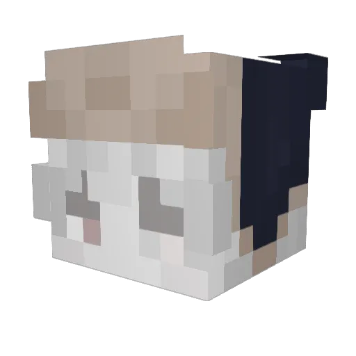 oversik Minecraft avatar head, 3D render