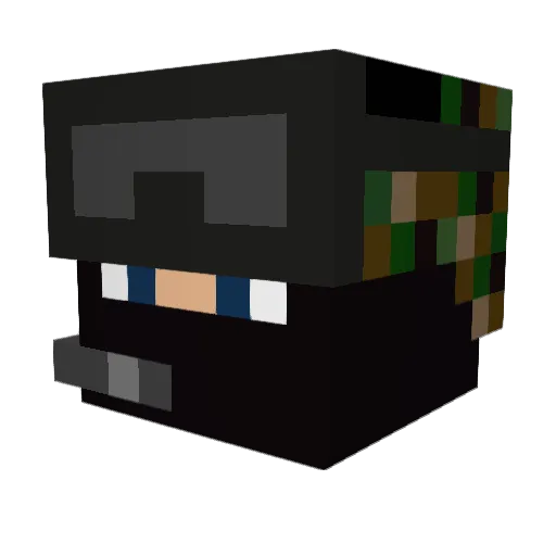 overturtle01 Minecraft avatar head, 3D render