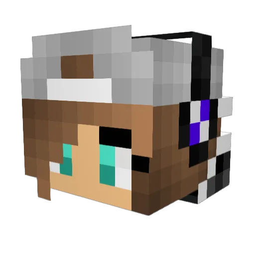 oviraptor1027 Minecraft avatar head, 3D render