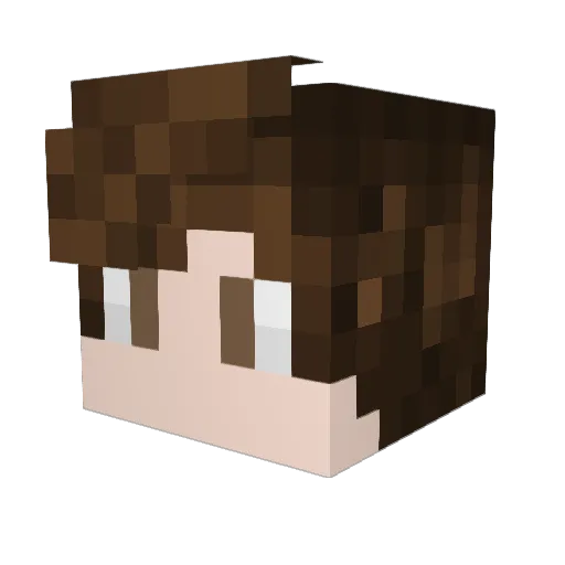 ovn_13 Minecraft avatar head, 3D render