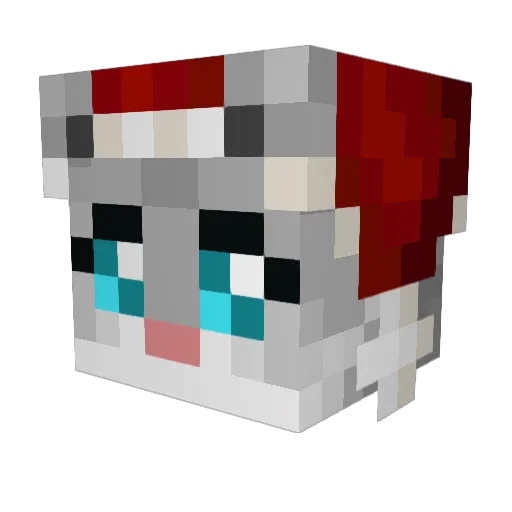 owed2 Minecraft avatar head, 3D render