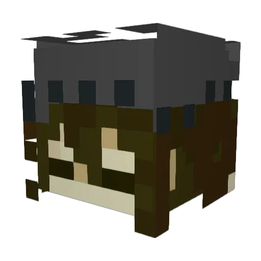 owenmustdie Minecraft avatar head, 3D render