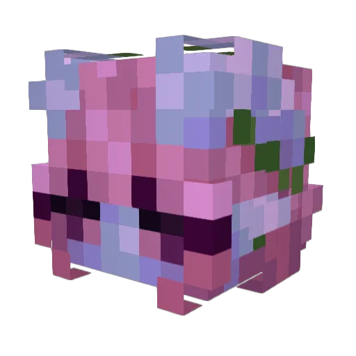 owlfac Minecraft avatar head, 3D render