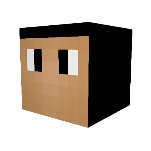 owlgamerr Minecraft avatar head, 3D render