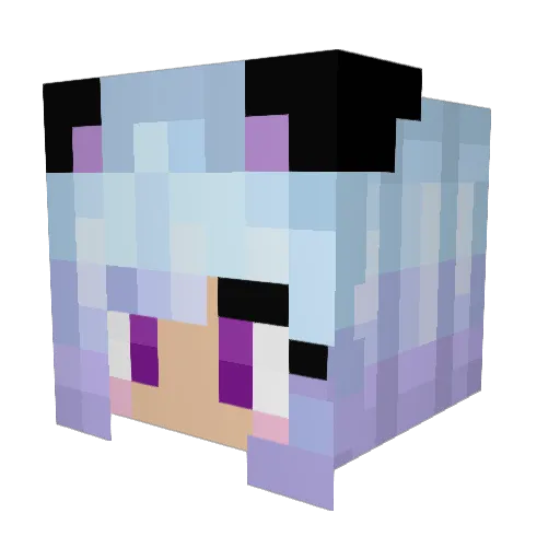 owlofawesome2 Minecraft avatar head, 3D render