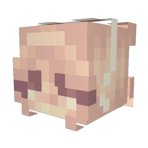 owlpack4 Minecraft avatar head, 3D render