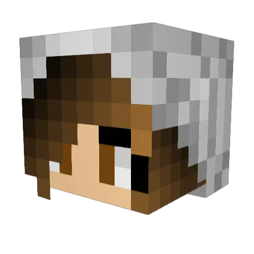 owls1717 Minecraft avatar head, 3D render
