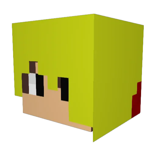 owlsquad101 Minecraft avatar head, 3D render