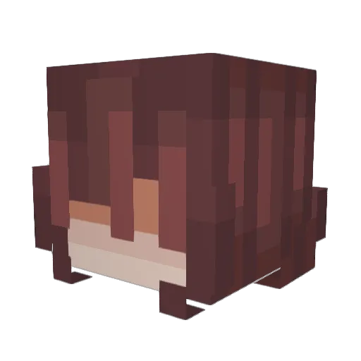 owltwinkie Minecraft avatar head, 3D render