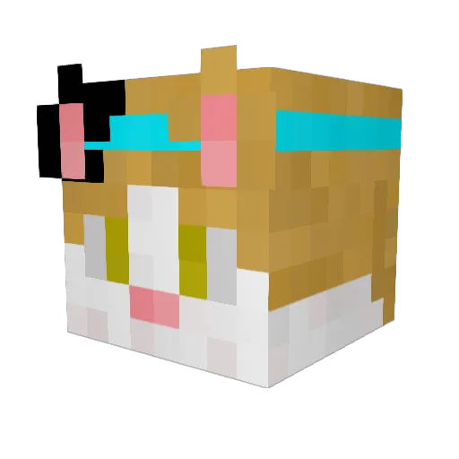 own221 Minecraft avatar head, 3D render
