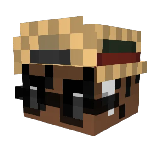 own4geL Minecraft avatar head, 3D render